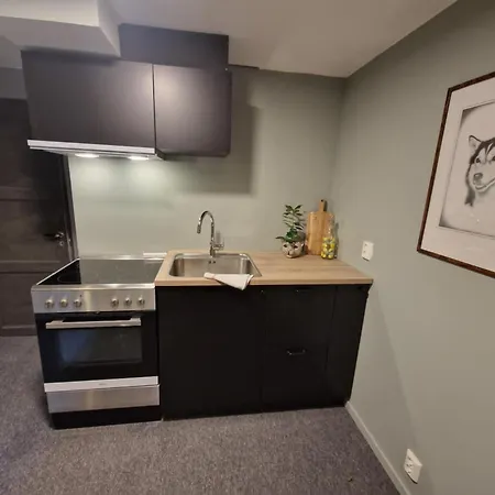 Appartement Modern And Rural - Free Parking Trondheim